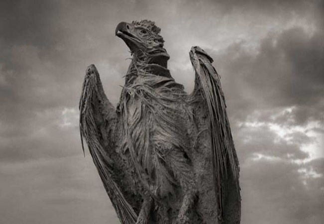 ভয়ঙ্কর নেট্রন হ্রদ! জীবন্ত প্রাণীকে করে দেয় পাথর!!!