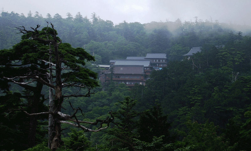যে পাঁচ স্থানে নারীদের প্রবেশ আজও নিষেধ!