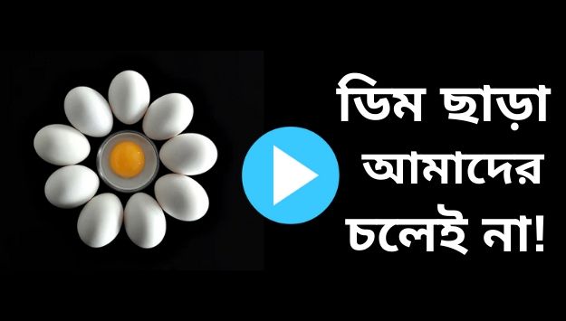 ডিম ছাড়া আমাদের চলে না পার্ট-১